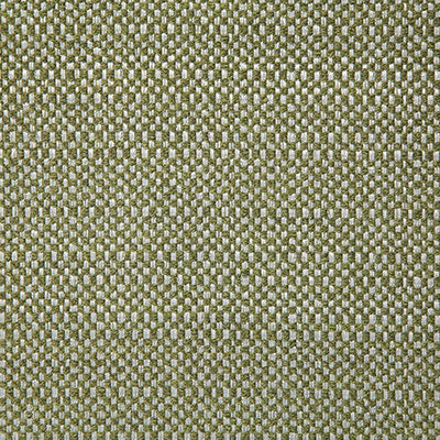 Pindler WADING CITRUS 8167 Fabric - Fabric Collection