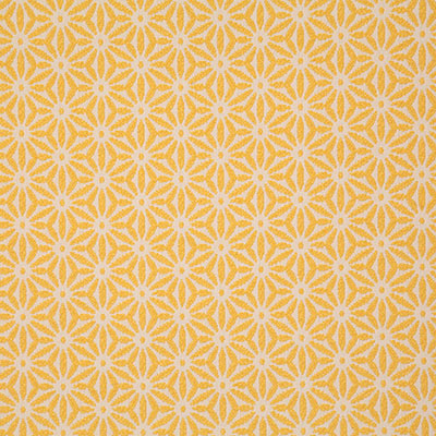 Pindler TIDEPOOL SUNSHINE 8169 Fabric - Fabric Collection