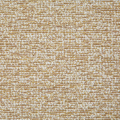 Pindler CAMP SOCK GOLD 8172 Fabric - Fabric Collection