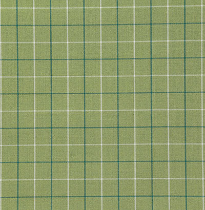 Pindler ZUMA SPROUT 8178 Fabric