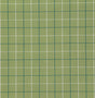 Pindler ZUMA SPROUT 8178 Fabric