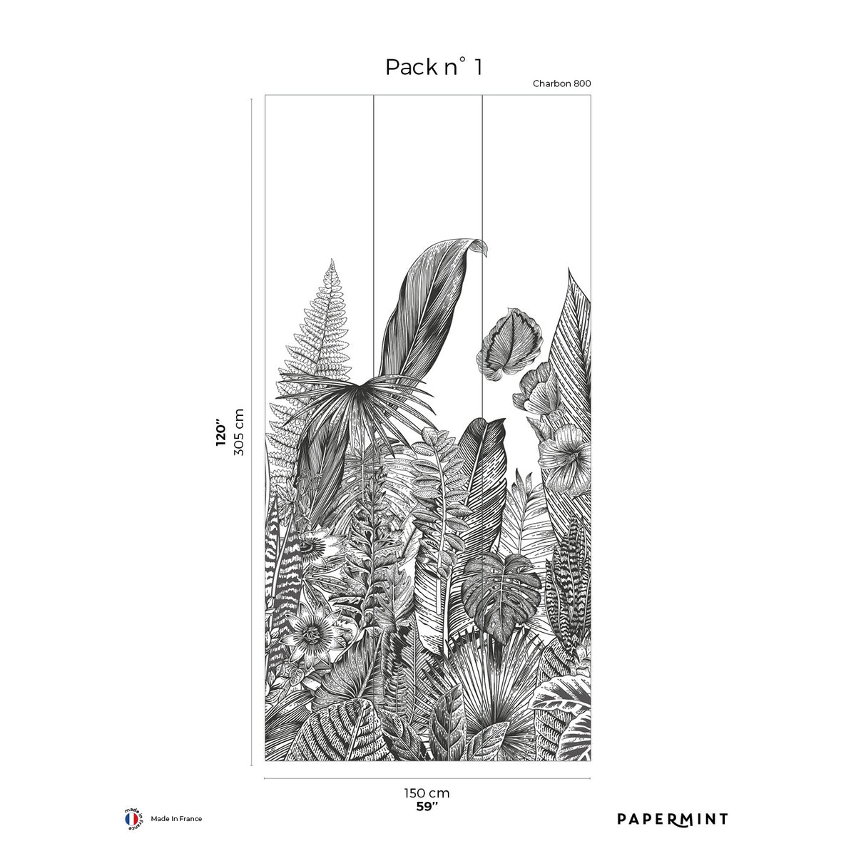 Papermint Botanic Pack 1 in Grey Wall Mural 8184-AH2-A