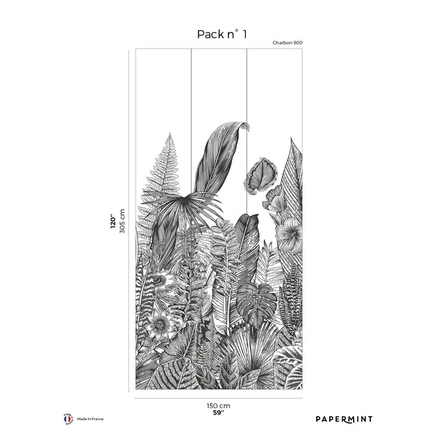 Papermint Botanic Pack 1 in Grey Wall Mural 8184-AH2-A