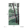 Papermint Bretagne Pack 4 in Green Wall Mural 8184-AI1-D