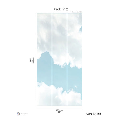 Papermint Summer Sky Pack 2 in Blue Wall Mural 8184-AO1-B