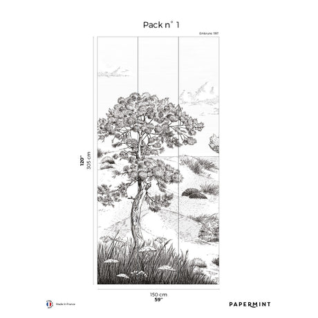 Papermint Wild Coast Pack 1 in Grey Wall Mural 8184-AR1-A
