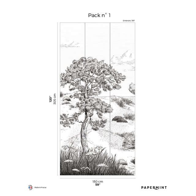 Papermint Wild Coast Pack 1 in Grey Wall Mural 8184-AR1-A