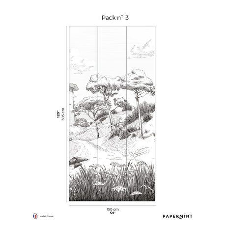 Papermint Wild Coast Pack 3 in Grey Wall Mural 8184-AR1-C