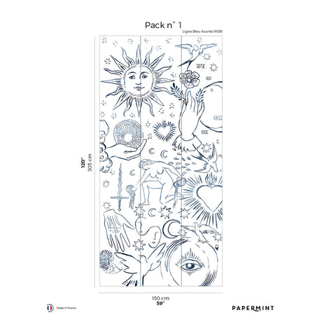 Papermint Divine Pack 1 in Navy Wall Mural 8184-AU1-A