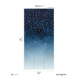 Papermint Starlights Pack 1 in Navy Wall Mural 8184-AZ1-B