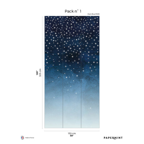 Papermint Starlights Pack 1 in Navy Wall Mural 8184-AZ1-B