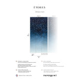 Papermint Starlights Pack 1 in Navy Wall Mural 8184-AZ1-B