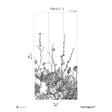 Papermint Flora Pack 2 in Black Wall Mural 8184-BC1-B