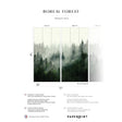 Papermint Boreal Pack 1 & 2 in Green Wall Mural 8184-BDL-AF