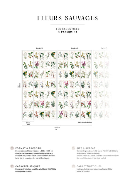 Papermint Wild Flowers Pack 1 & 2 in Multi Wall Mural 8184-B