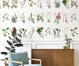 Papermint Wild Flowers Pack 1 & 2 in Multi Wall Mural 8184-B