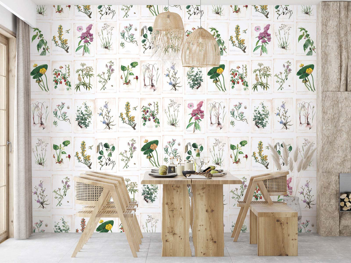 Papermint Wild Flowers Pack 1 & 2 in Multi Wall Mural 8184-B
