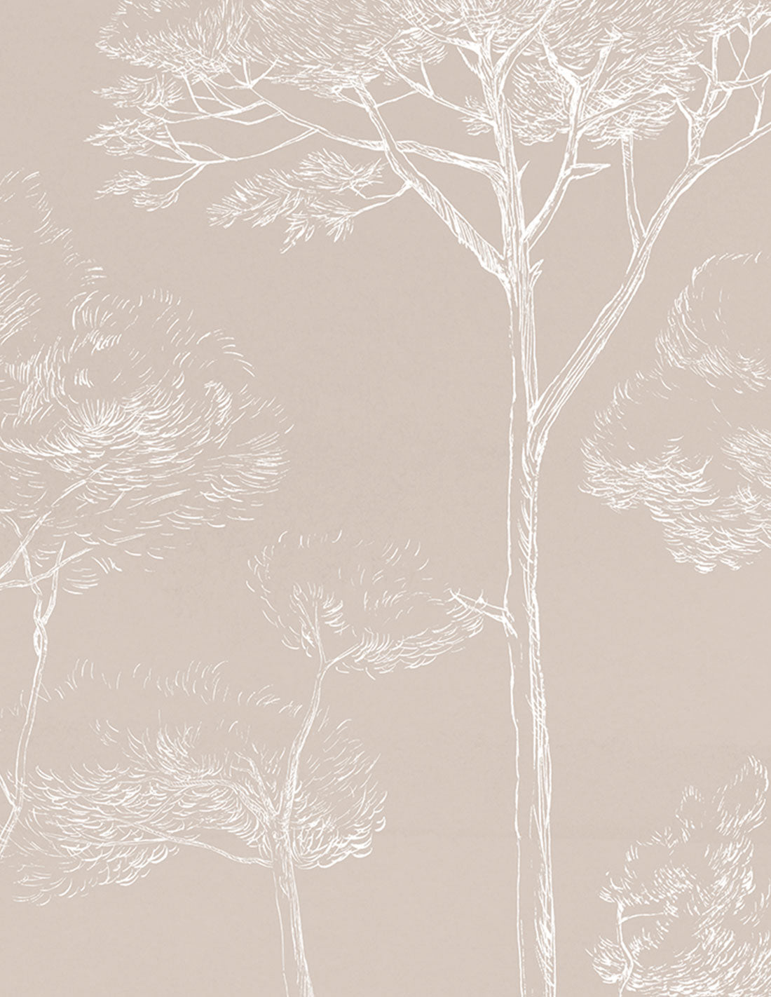 Papermint Under the Pines Pack 1 & 2 in Beige Wall Mural 818