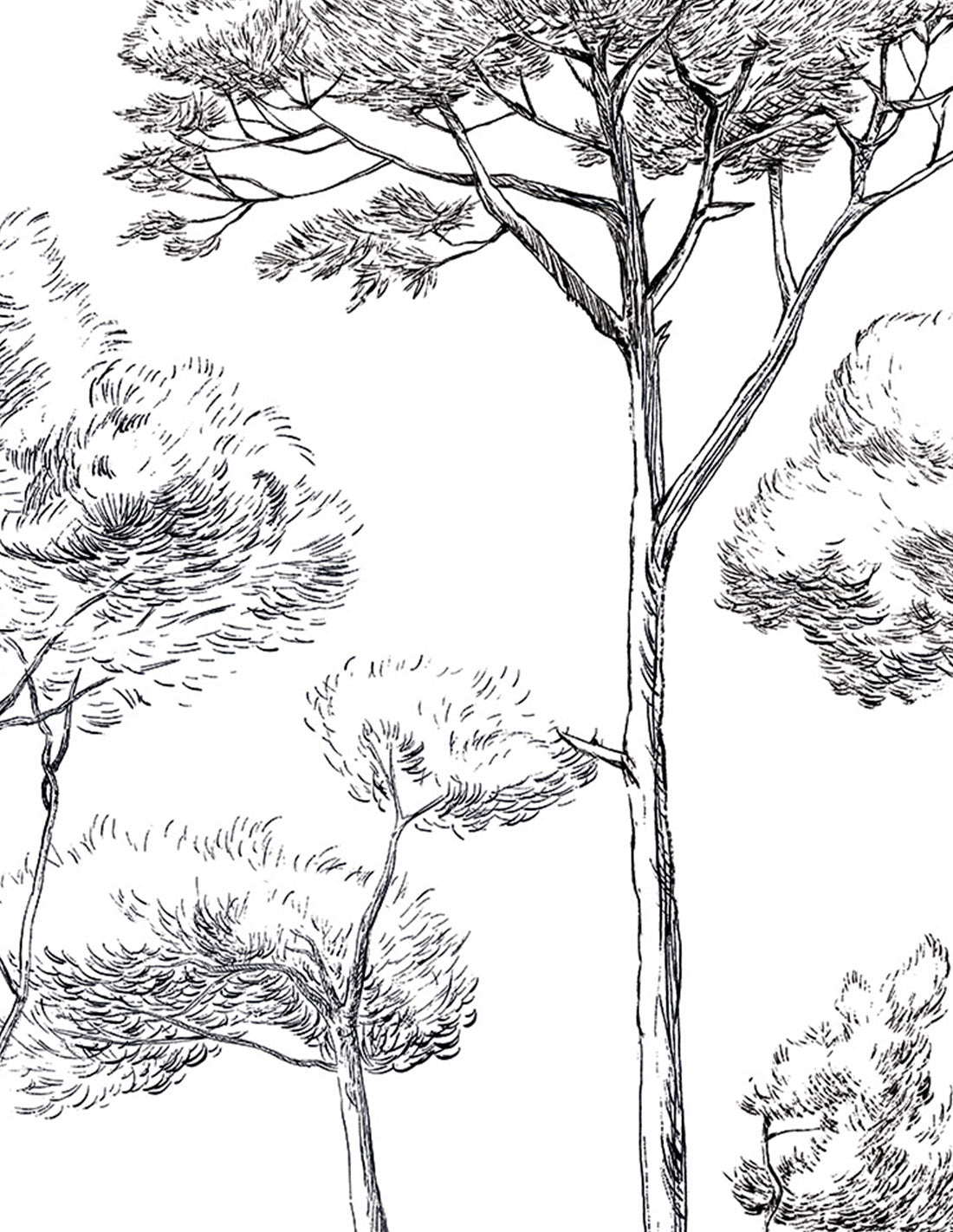 Papermint Under the Pines Pack 1 & 2 in Black Wall Mural 818