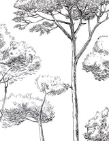 Papermint Under the Pines Pack 1 & 2 in Black Wall Mural 818
