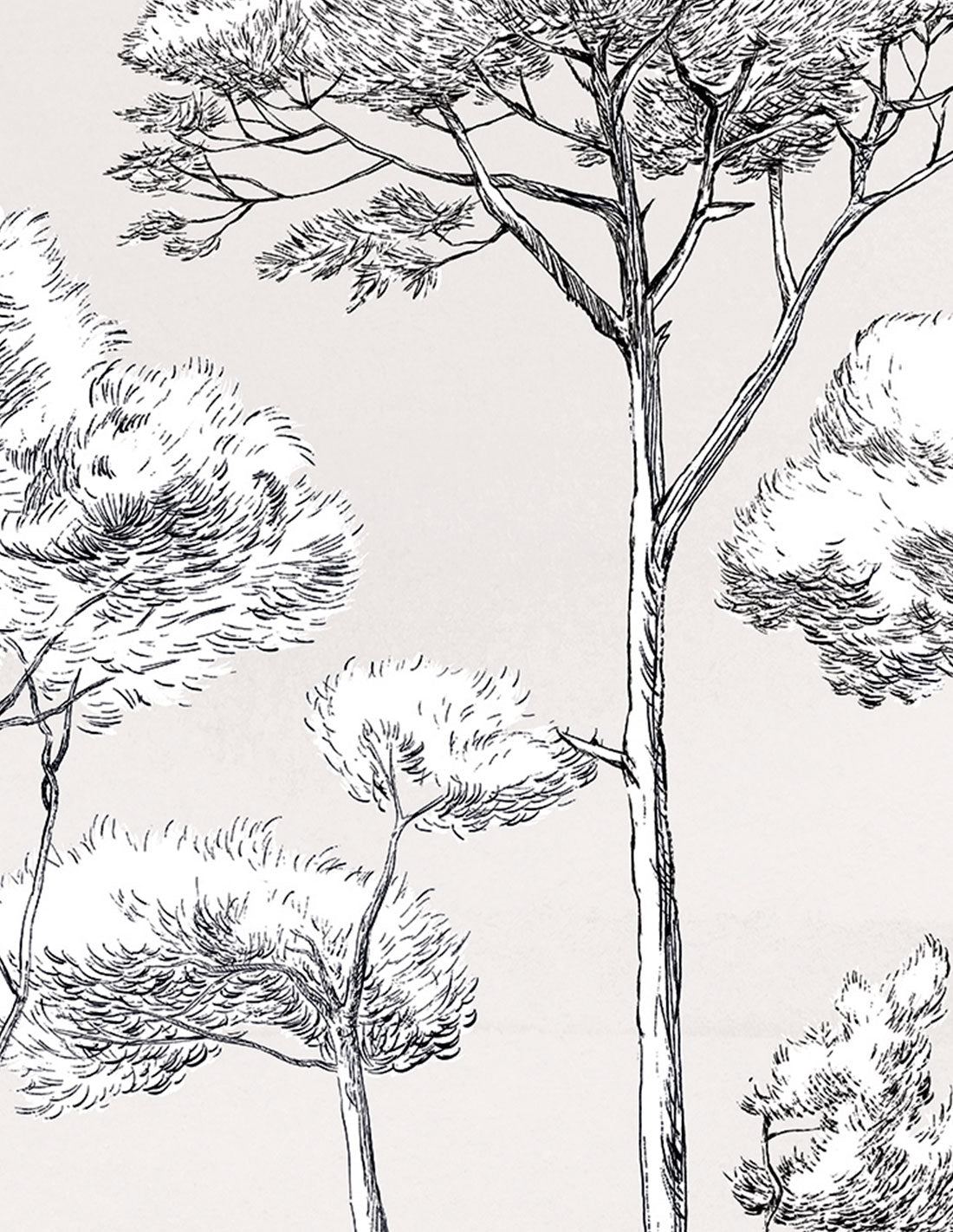 Papermint Under the Pines Pack 1 & 2 in White Wall Mural 818
