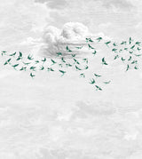 Papermint Swallow Clouds Pack 1 & 2 in Green Wall Mural 8184