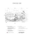 Papermint Tuscany Line Pack 1, 2 & 3 in Black Wall Mural 818