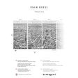 Papermint Eiffel Tower Pack 1, 2 & 3 in Grey Wall Mural 8184