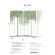 Papermint Woods Pack 1 & 2 in Green Wall Mural 8184-BDL-DI
