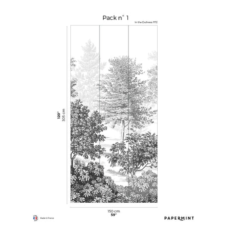Papermint In The Woods Pack 1 in Grey Wall Mural 8184-BJ1-A