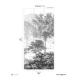 Papermint In The Woods Pack 2 in Grey Wall Mural 8184-BJ1-B