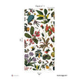 Papermint Yesteryear Garden Pack 1 in Multi Wall Mural 8184-