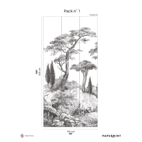Papermint Porquerolles Pack 1 in Grey Wall Mural 8184-CP1-A