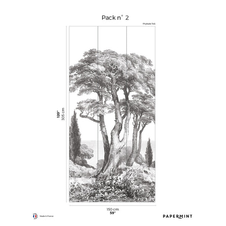 Papermint Porquerolles Pack 2 in Grey Wall Mural 8184-CP1-B