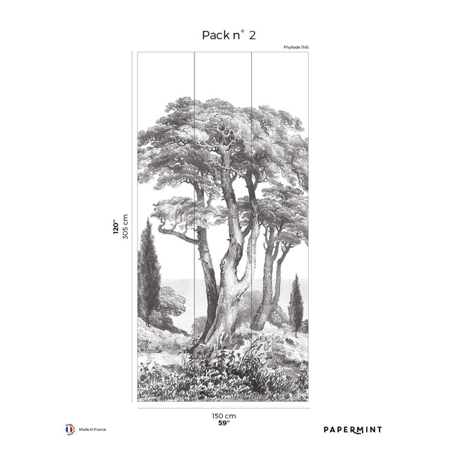 Papermint Porquerolles Pack 2 in Grey Wall Mural 8184-CP1-B
