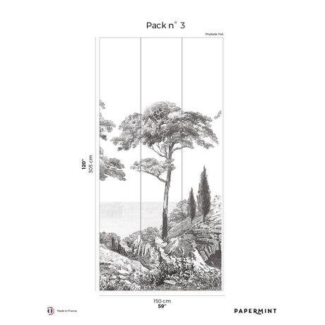 Papermint Porquerolles Pack 3 in Grey Wall Mural 8184-CP1-C