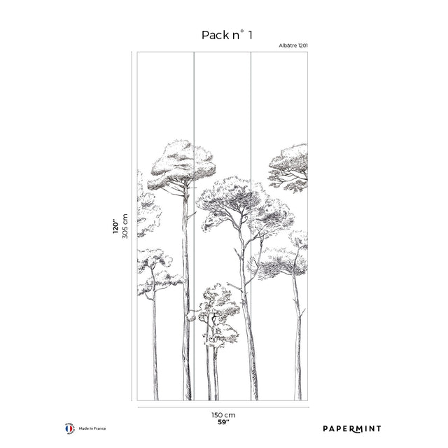 Papermint Under the Pines Pack 1 in Black Wall Mural 8184-CY