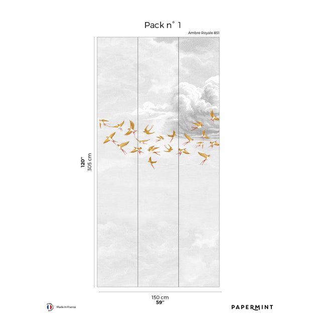 Papermint Swallow Clouds Pack 1 in Orange Wall Mural 8184-CZ