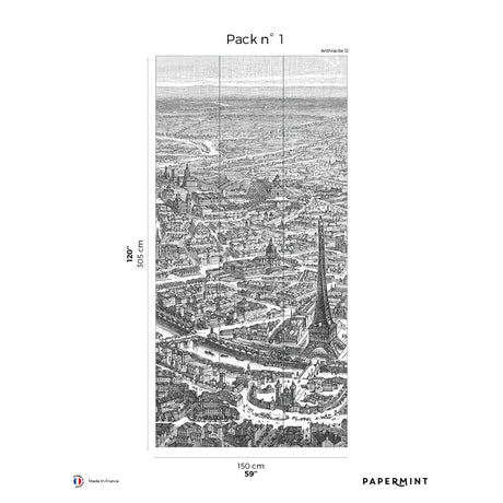 Papermint Eiffel Tower Pack 1 in Grey Wall Mural 8184-DF1-A