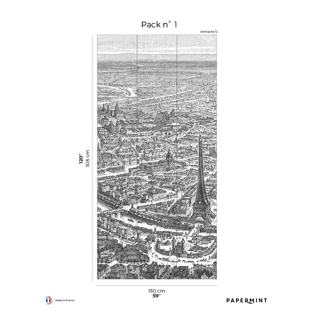 Papermint Eiffel Tower Pack 1 in Grey Wall Mural 8184-DF1-A