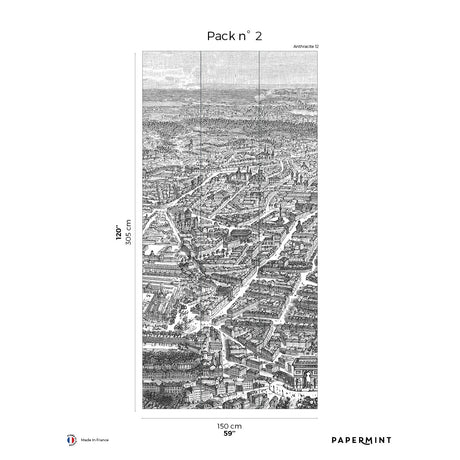 Papermint Eiffel Tower Pack 2 in Grey Wall Mural 8184-DF1-B