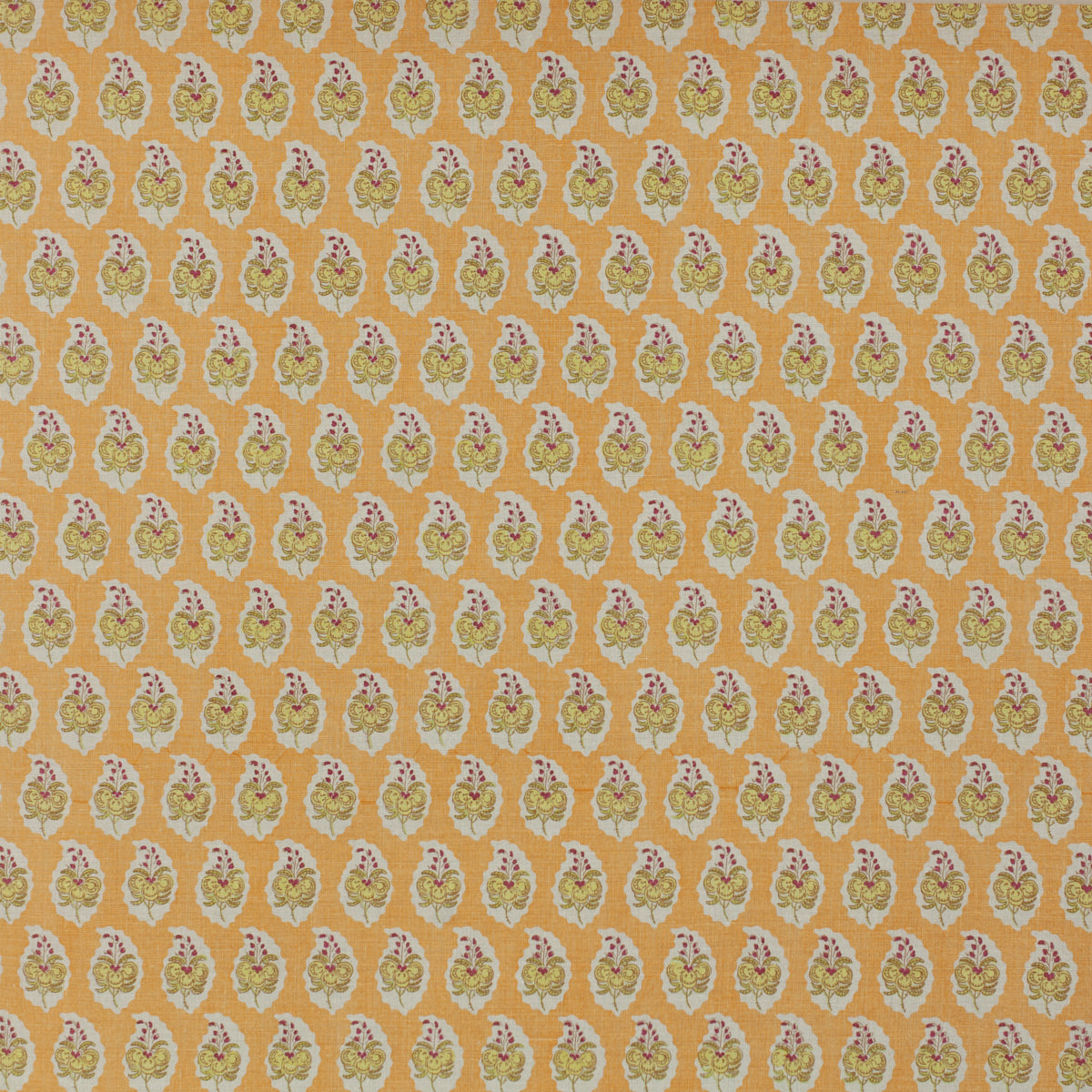 Schumacher 818N85 PASHA in LOQUAT Fabric - RAOUL TEXTILES