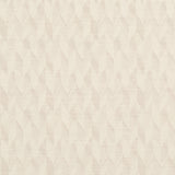 Schumacher Ezra Wool Birch Fabric