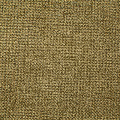 Pindler DALE MOSS 8199 Fabric