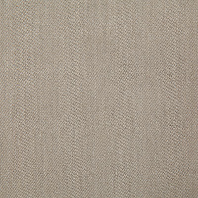 Pindler HEWITT PEBBLE 8203 Fabric