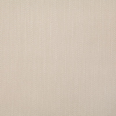 Pindler HEWITT PUTTY 8203 Fabric