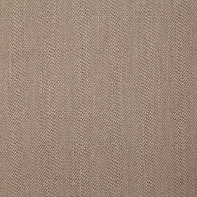 Pindler HEWITT SUEDE 8203 Fabric