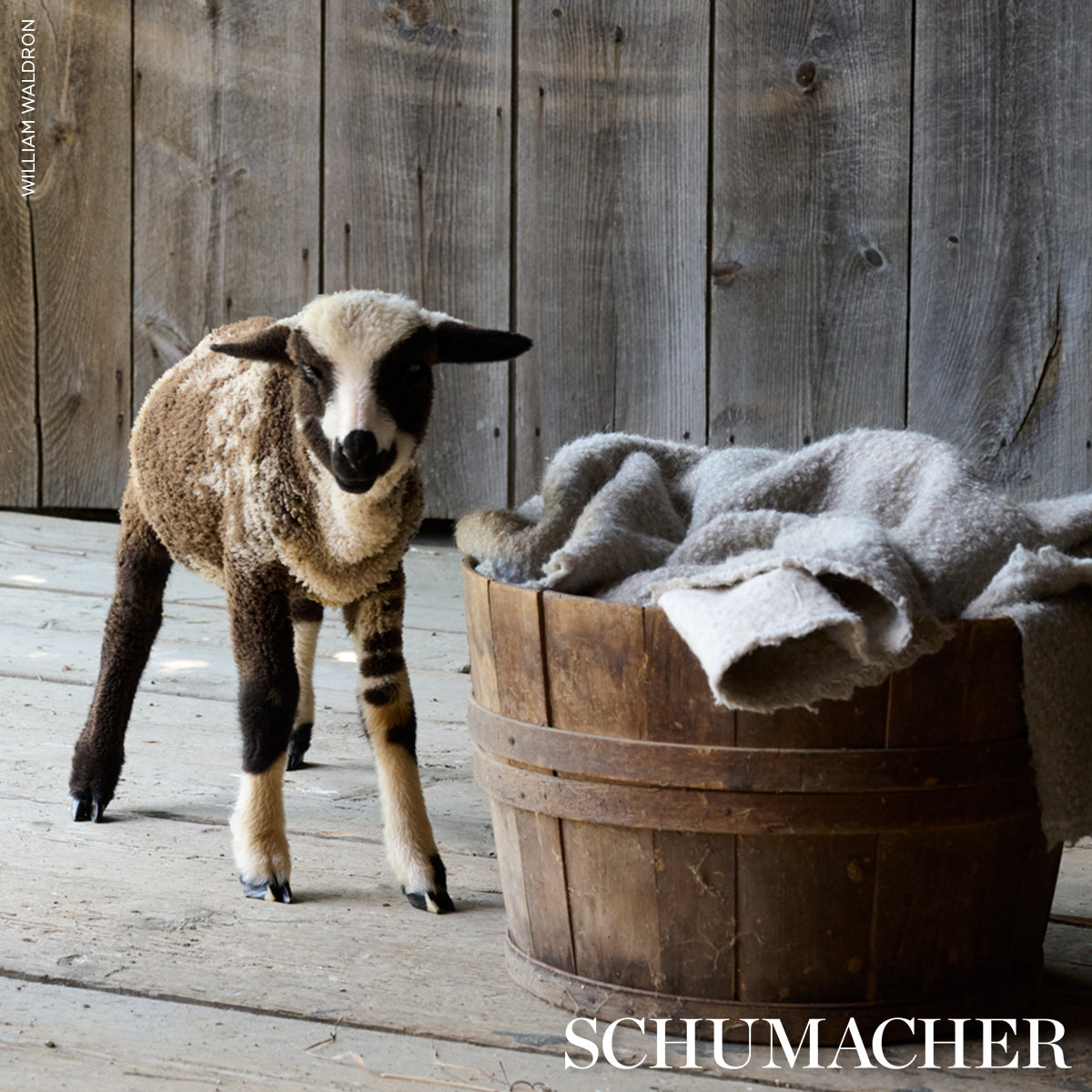 Schumacher Teddy Wool Bouclé Fawn Fabric - Eade's Wallpaper