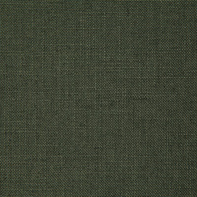 Pindler MILLWARD FOREST 8208 Fabric