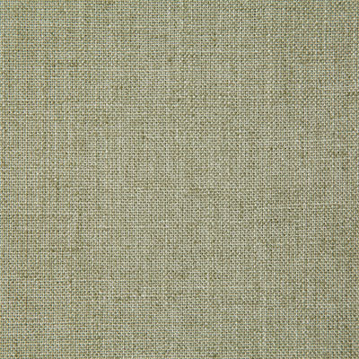 Pindler MILLWARD MOSS 8208 Fabric